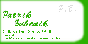 patrik bubenik business card